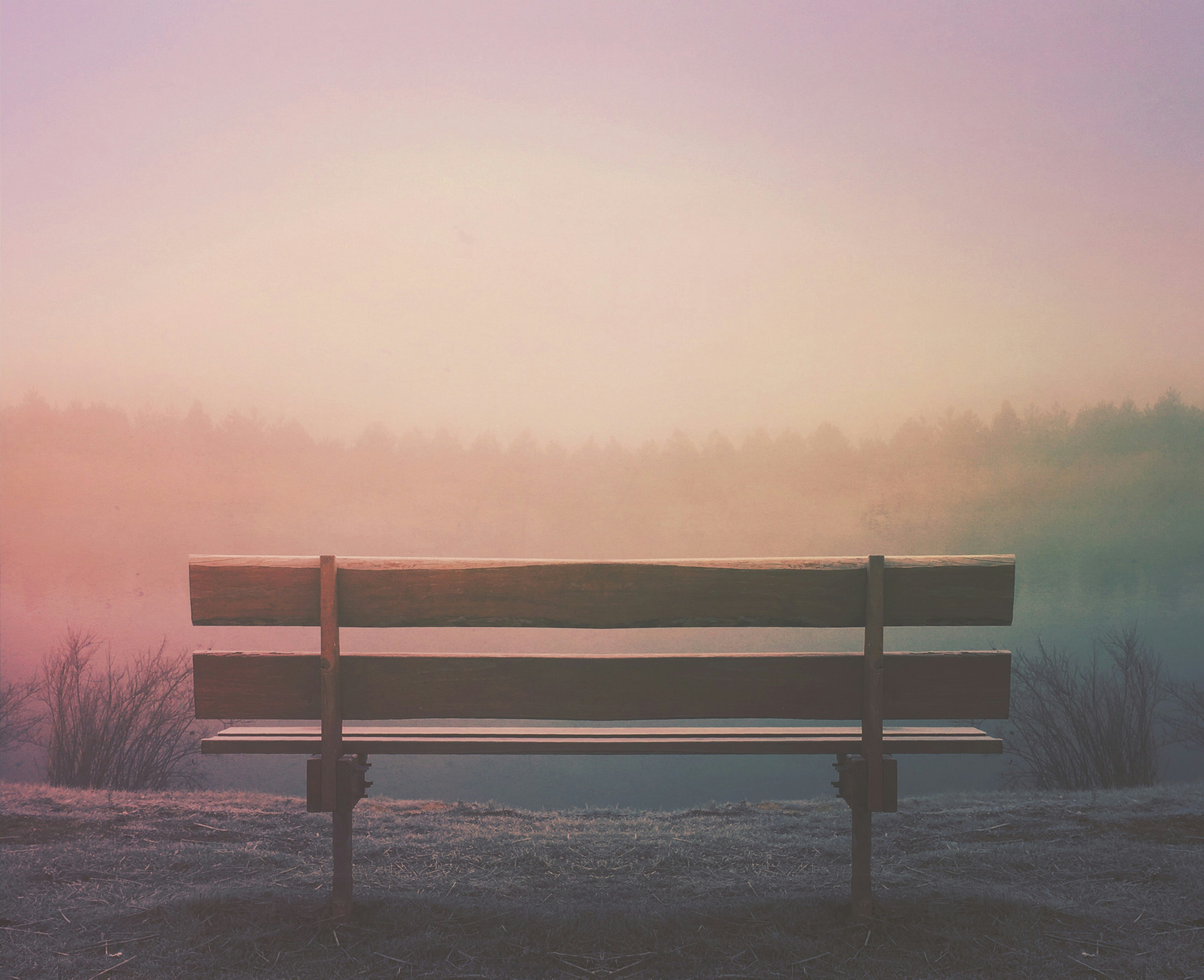 brown wooden bench in field